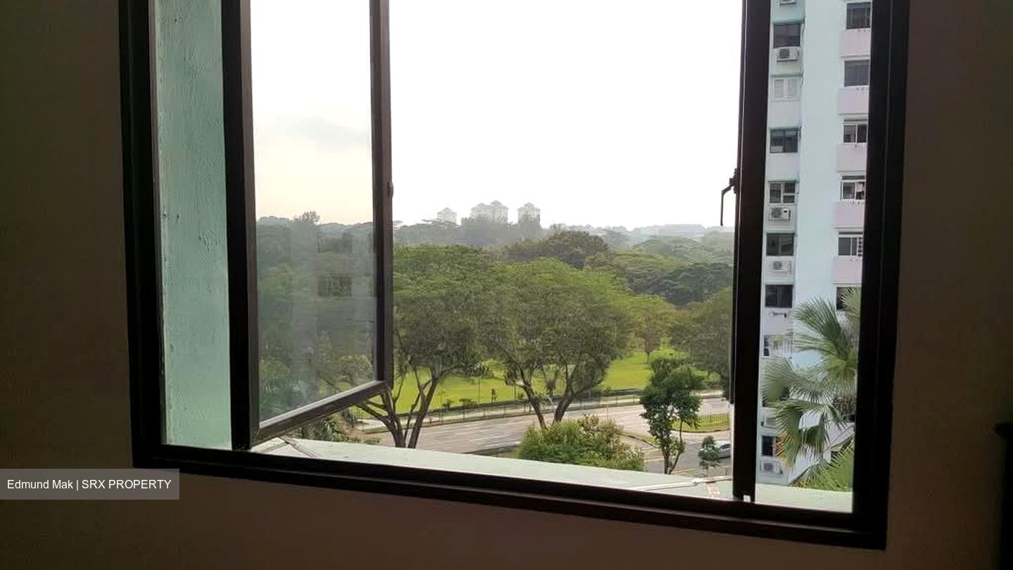 Blk 166 Stirling View (Queenstown), HDB 3 Rooms #592374021